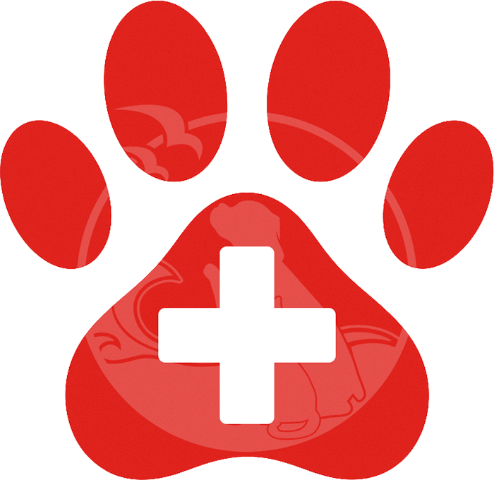 Emergency Veterinary Southern Ocean Animal Hospital