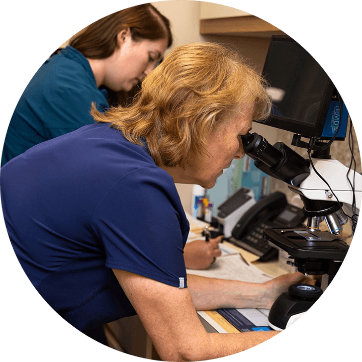 Kidney and Urinary Tract: UTI & FLUTD