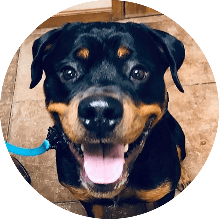 Dilation of the Pupils