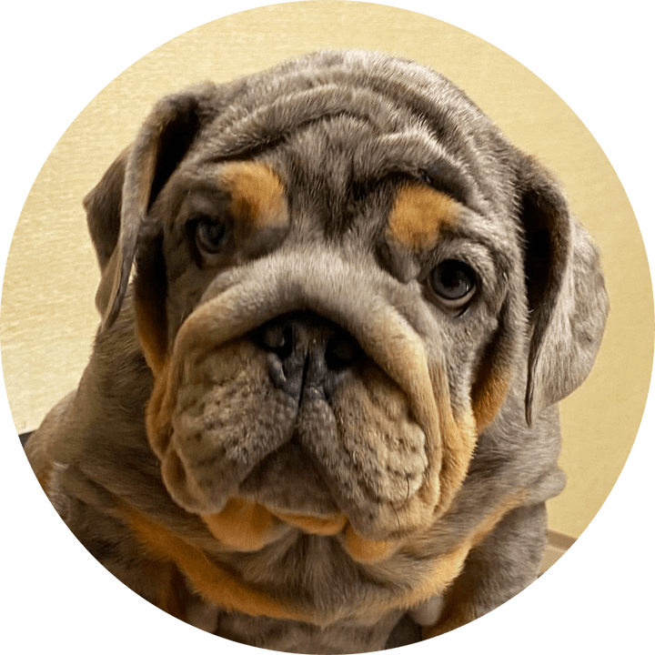 Degenerative Diseases