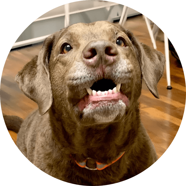 Interventional Treatments