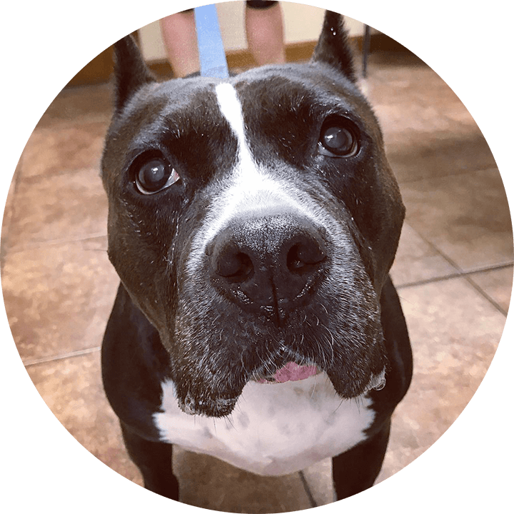 Neuromuscular Diseases